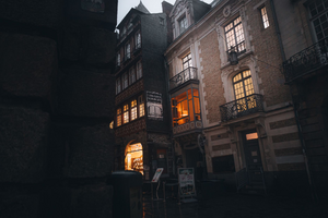 Toiletteur Rennes